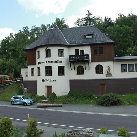 Hotel Waldfrieden Elsterberg المظهر الخارجي الصورة