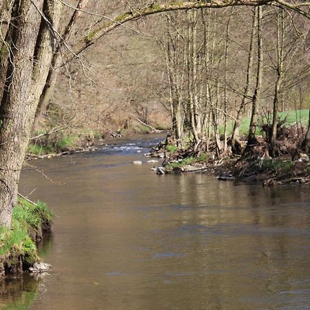 Hotel Waldfrieden Elsterberg المظهر الخارجي الصورة