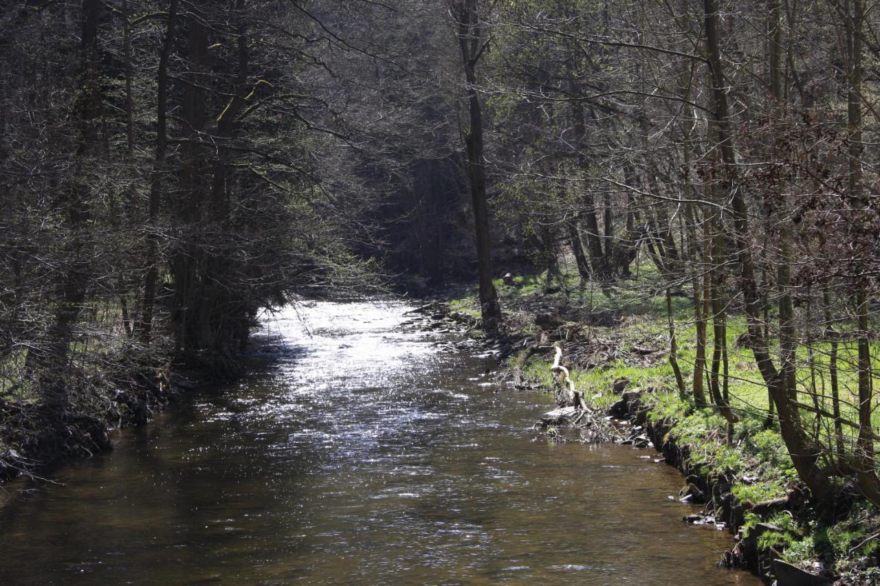 Hotel Waldfrieden Elsterberg المظهر الخارجي الصورة