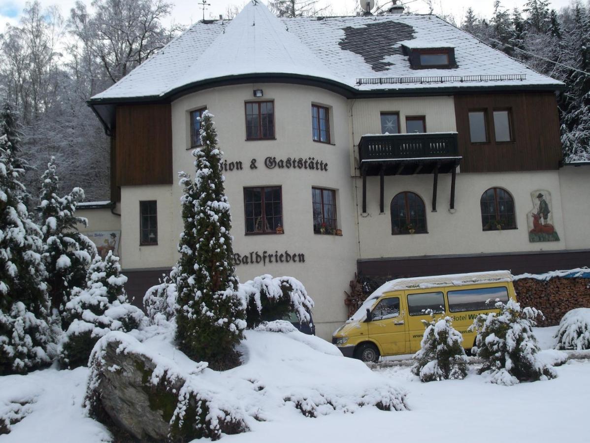 Hotel Waldfrieden Elsterberg المظهر الخارجي الصورة